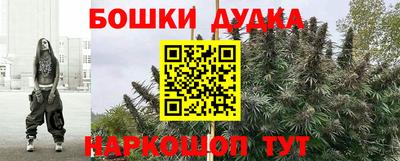 сатива Лесосибирск