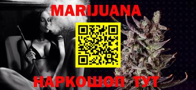 сатива Лесосибирск