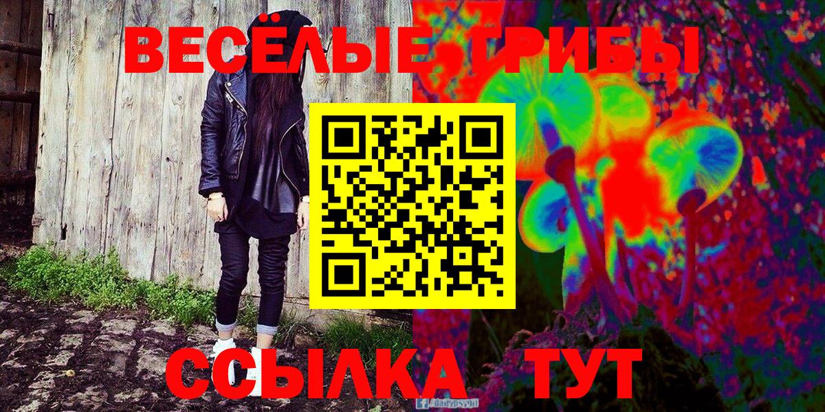 Псилоцибиновые грибы мицелий Гагарин