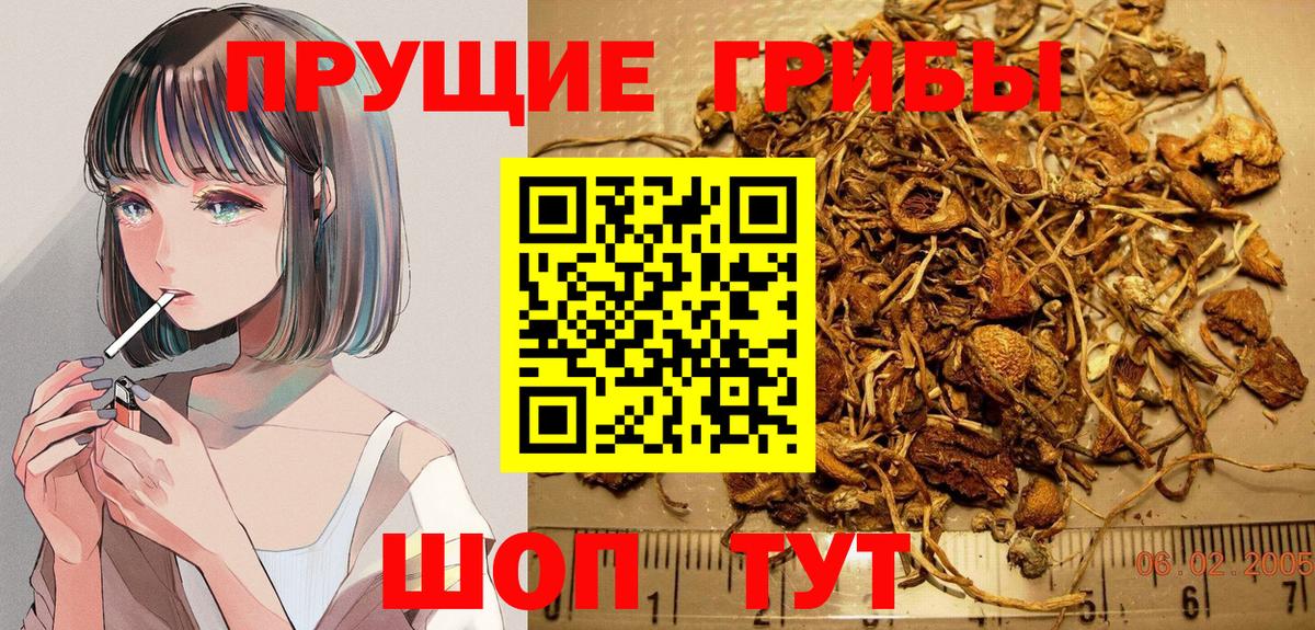 Гагарин  Галлюциногенные грибы GOLDEN TEACHER  Вход с VPN 