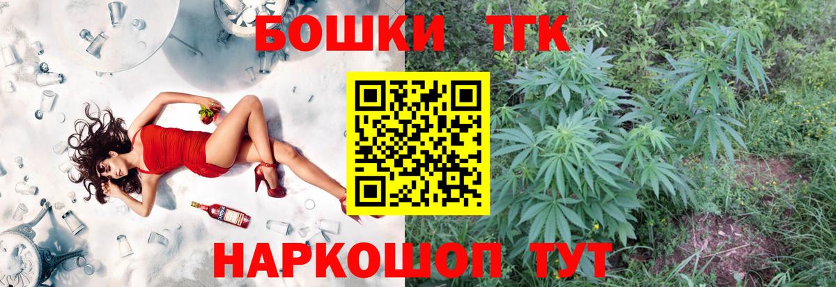 ГАШ Гагарин